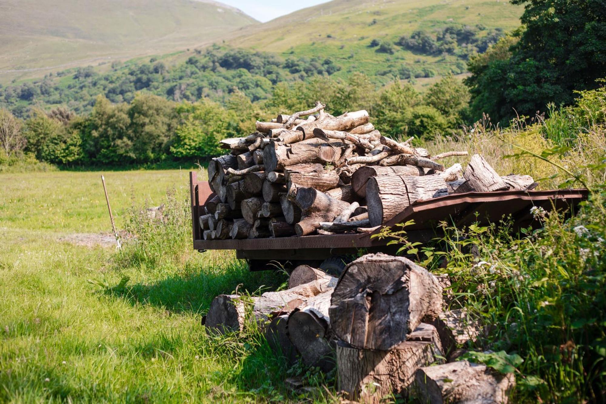 Trigonos - Quiet, Peaceful, Vegetarian And Retreat Centre Bed & Breakfast Nantlle