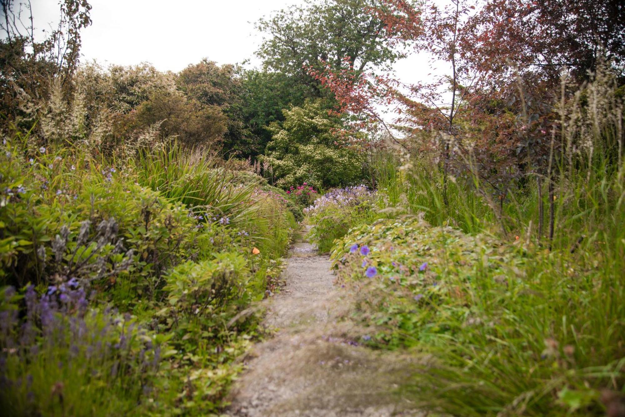 Trigonos - Quiet, Peaceful, Vegetarian And Retreat Centre *