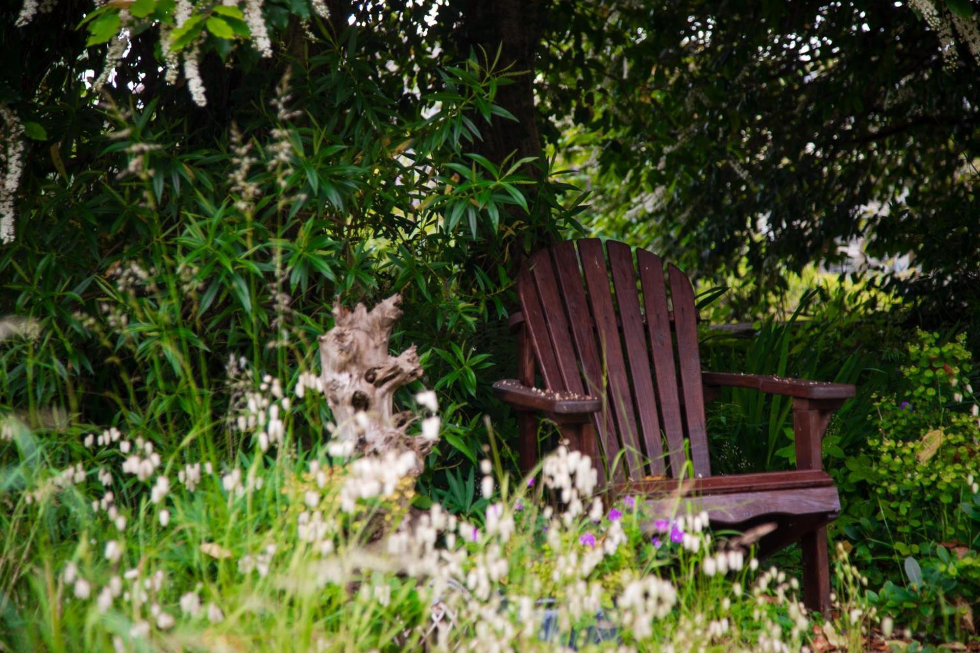 Trigonos - Quiet, Peaceful, Vegetarian And Retreat Centre Nantlle