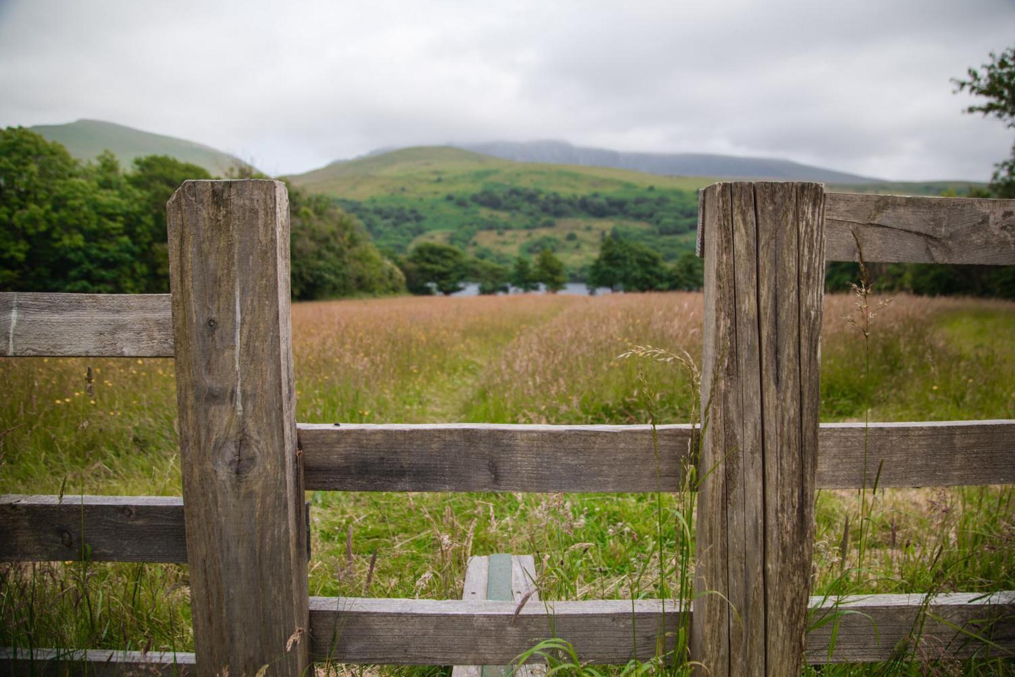 Bed & Breakfast Trigonos - Quiet, Peaceful, Vegetarian And Retreat Centre
