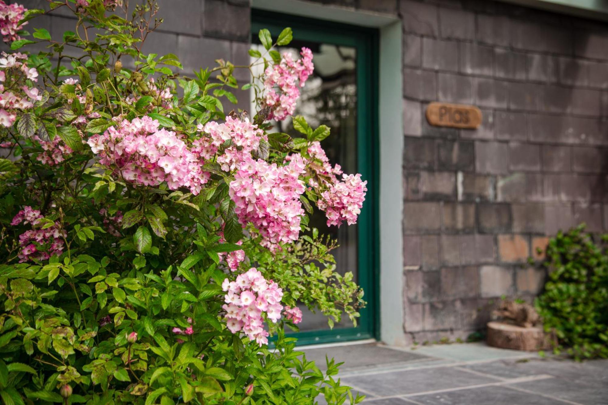 Bed & Breakfast Trigonos - Quiet, Peaceful, Vegetarian And Retreat Centre *