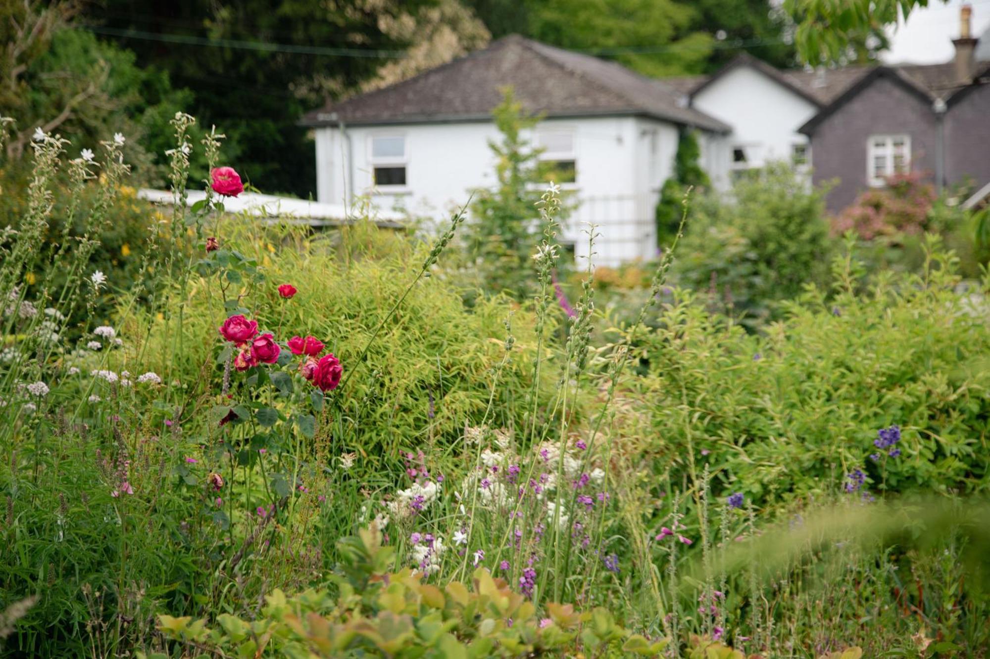 Trigonos - Quiet, Peaceful, Vegetarian And Retreat Centre *