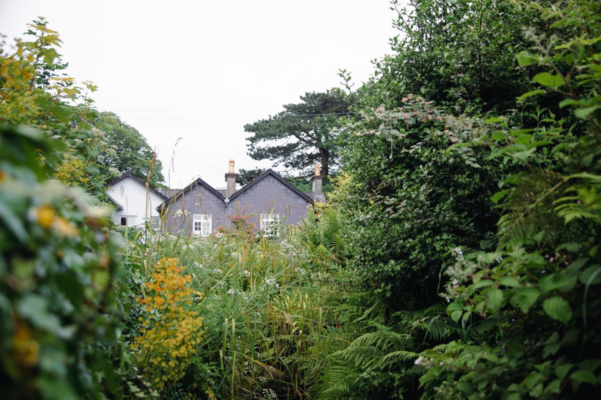 Bed & Breakfast Trigonos - Quiet, Peaceful, Vegetarian And Retreat Centre *