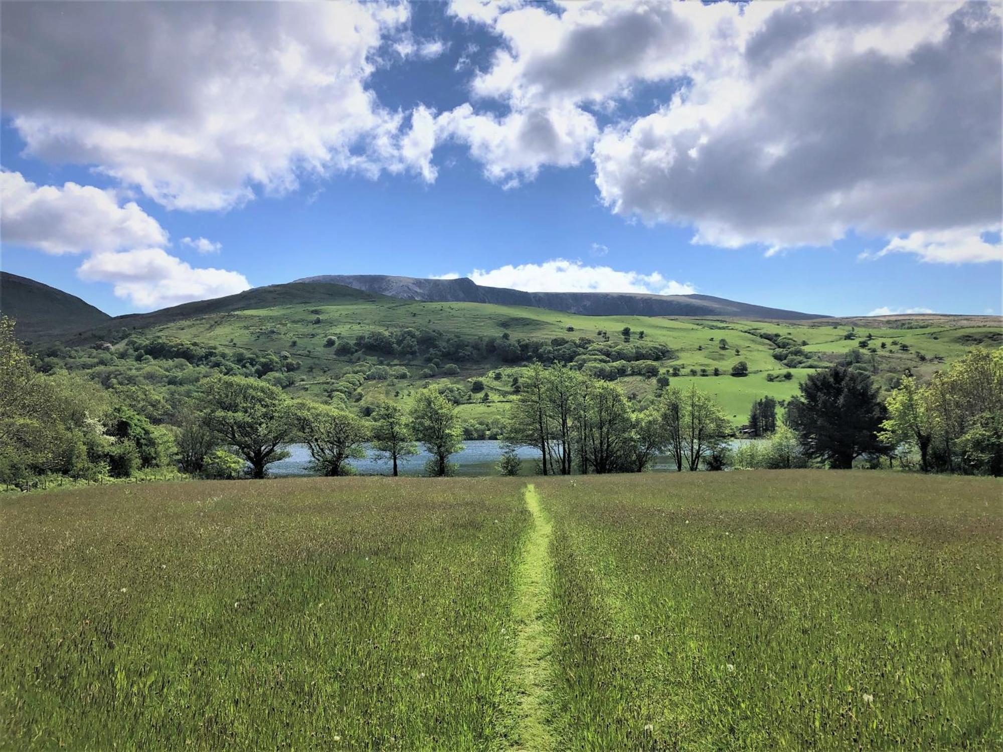 Trigonos - Quiet, Peaceful, Vegetarian And Retreat Centre