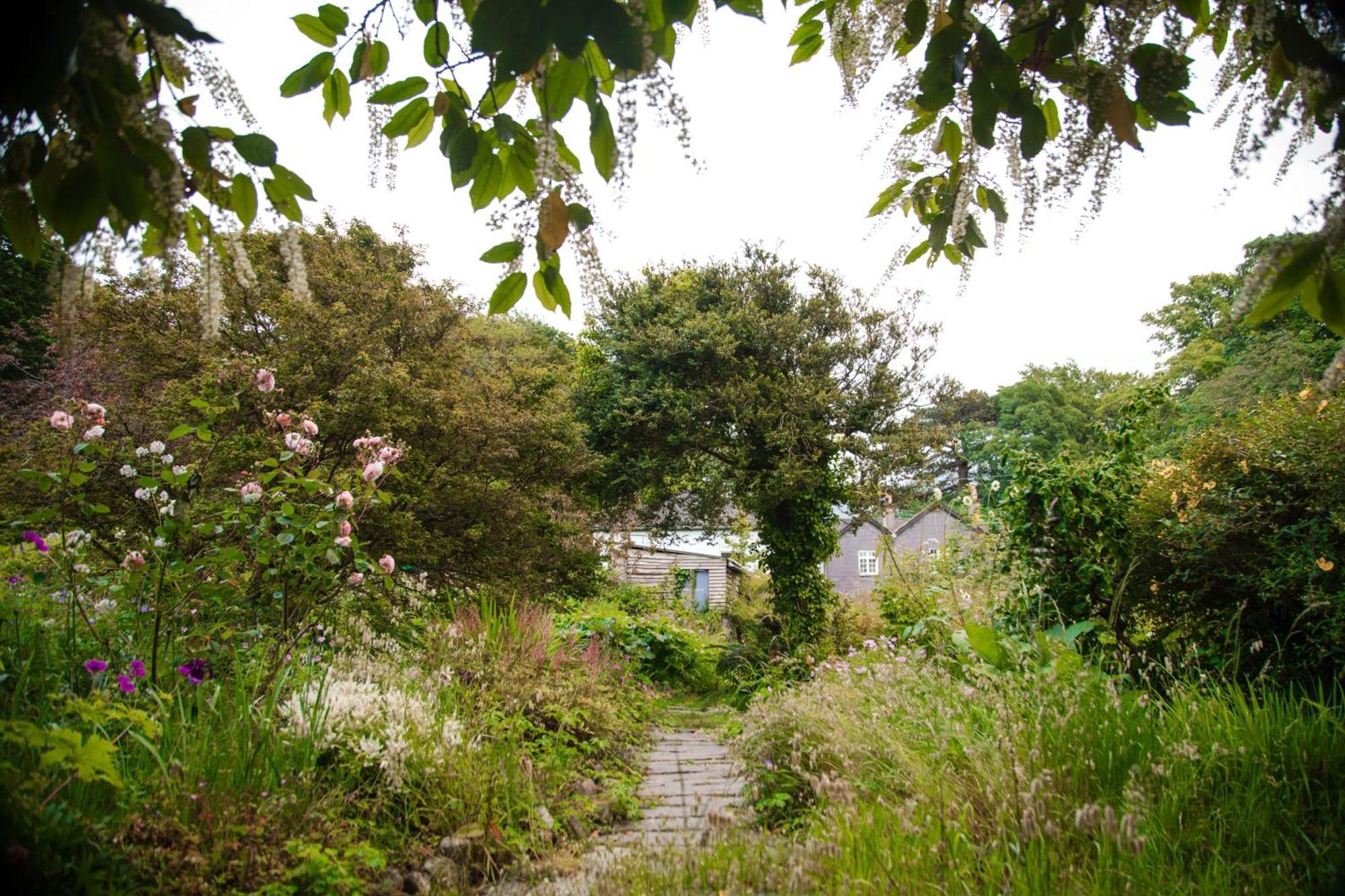 Trigonos - Quiet, Peaceful, Vegetarian And Retreat Centre Nantlle
